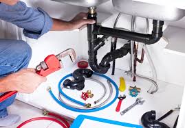 Best Commercial Plumbing Services  in St Johns, MI